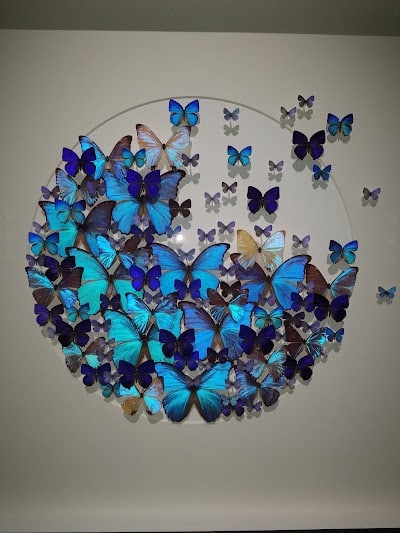 The Notary Bug, Mobile Notary Services